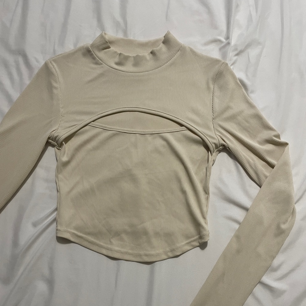 Long Sleeve Crop Top